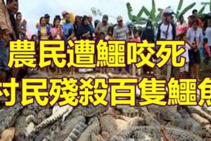 農民遭鱷咬死村民殘殺百隻鱷魚