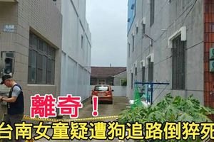離奇台南女童疑遭狗追路倒猝死