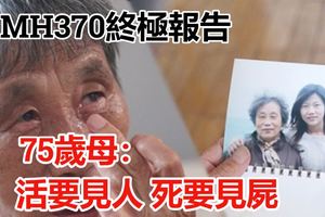 今公布MH370終極報告75歲母：活要見人死要見屍