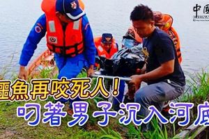 鱷魚再咬死人！叼著男子沉入河底