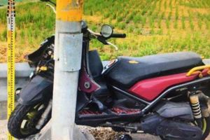 RIP母騎車自撞電桿後載6歲兒未戴安全帽亡