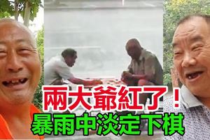 暴雨中淡定下棋-兩大爺紅了!原來.....