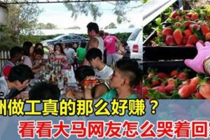 新加坡打工不好做，澳洲就真的這麼好賺嗎？！看看大馬網友是怎麼哭著回的家！