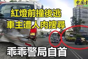 紅燈前撞後逃-車主遭人肉搜尋-乖乖警局自首