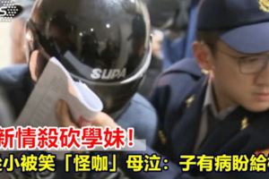 世新情殺砍學妹！他從小被笑「怪咖」母泣：子有病盼給機會