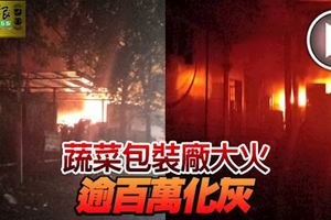 隔鄰住家燒垃圾，火勢蔓延到蔬菜包裝廠，逾百萬化灰