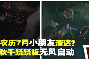 【視頻】農歷7月「小朋友」溜達？鞦韆蹺蹺板無風自動