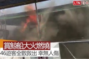 影》海上驚魂！花蓮滿載遊客賞鯨船失火黑煙竄天46旅客逃他船獲救