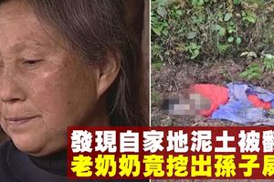 發現自家地泥土被翻動　老奶奶竟挖出孫子屍體