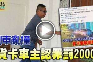 倒車亂撞貨卡車主認罪罰2000