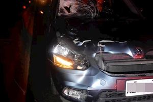 出陣頭後慘死路旁醉男「下車尿尿」遭輾爆頭