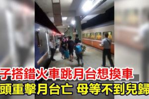 男子搭錯火車跳月台想換車！頭重擊月台亡母等不到兒歸