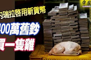 1400萬舊鈔買一隻雞!委內瑞拉啟用新貨幣,兌換比率為1比10萬!