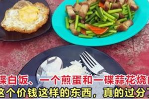 一碟白飯、一個煎蛋和一碟蒜花燒肉，這個價錢這樣的東西，真的過分了！