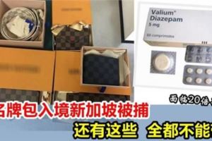 美女入境新加坡帶名牌包被捕，面臨20倍罰款和監禁！大家記住，這些統統不能帶