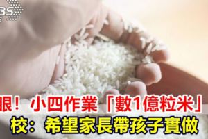 傻眼！小四作業「數1億粒米」校：希望家長帶孩子實做