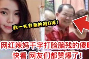【一夫多妻論】網紅辣媽也狠狠打臉腦殘的傻B快看網友們都贊爆了