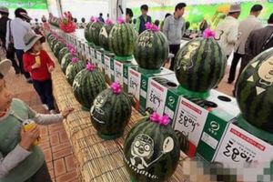 韓國小哥鏡頭前炫富：抱著半邊西瓜挖著吃，中國網友：我的日常