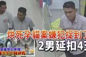 烘死孕貓案嫌犯捉到了！2男延扣4天
