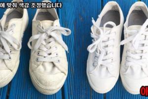 《白鞋清洗方法》只要兩小時就能把小白鞋變回原樣
