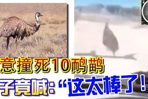故意撞死10鴯鶓，將片段放上網！男子：這太棒了！