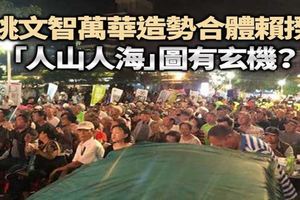 台北》姚文智萬華造勢合體賴神「人山人海」圖有玄機？
