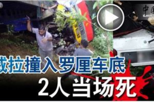 威拉撞入羅厘車底2人當場死