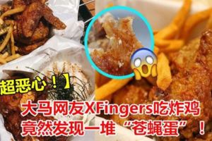 【超惡心！】大馬網友XFingers吃炸雞竟然發現一堆「蒼蠅蛋」~