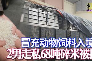 冒充動物飼料入境2男走私68噸碎米被捕