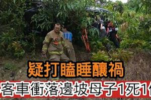 疑打瞌睡釀禍小客車衝落邊坡母子1死1傷
