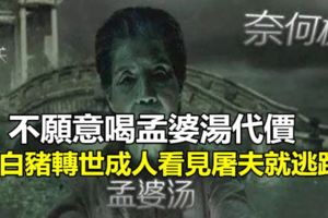 不願意喝孟婆湯代價,小白豬轉世成人看見屠夫就逃跑