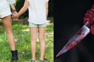 她比我漂亮…小六胖妹竟「分屍正妹同學」！法院判無刑責網怒:長大還得了