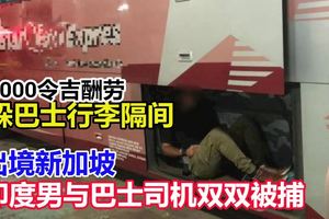 有官司在身的25歲男子，躲在巴士行李隔間企圖非法出境，與巴士司機雙雙被捕。