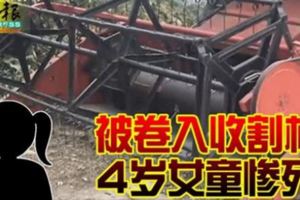 被捲入收割機4歲女童慘死