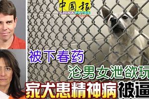 被下春藥，淪男女洩欲玩物，家犬患精神病被迫死！
