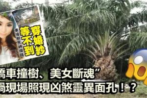 車禍現場照現凶煞靈異面孔！？阿彌陀佛