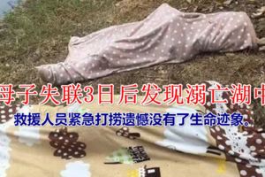 母子失聯3日後發現溺亡湖中，警方已介入調查