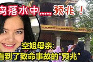 [印尼飛機墜海]一名空姐母親稱看到事故「預兆」!鳥落水中.....