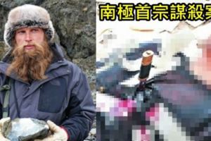 南極爆人類史上首宗謀殺案！「殺人動機世界瞎」...一刀狠刺入心臟網卻一面倒挺：OO者死