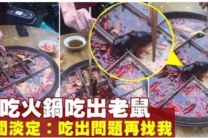 麻辣鍋撈出老鼠　老闆：吃出問題再找我（內附視頻）