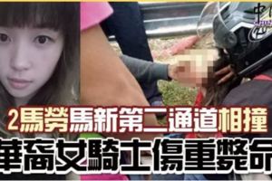 2騎士馬新第二通道相撞華裔女騎士傷重斃命