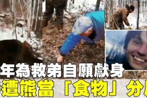 16歲少年勇救表弟　慘遭熊獵殺肢解當「食物」埋