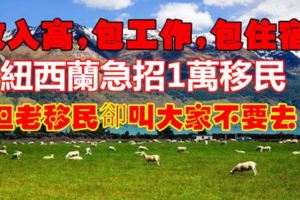 紐西蘭急招1萬移民，包工作、包住宿、收入高，但老移民卻叫大家不要去！！