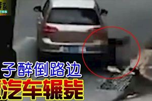 男子醉倒路邊遭汽車輾斃