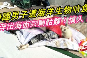 泰國男子遭海洋生物啃食！浮出海面只剩骷髏！慎入！