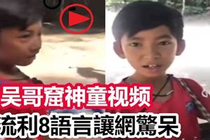 好狂！吳哥窟神童視頻,流利8語言讓網驚呆