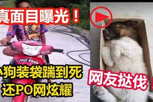 小狗裝袋踹到死，還PO網炫耀！男子殘忍行徑引網友撻伐