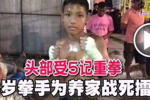 頭部受5記重拳-13歲拳手為養家戰死擂台
