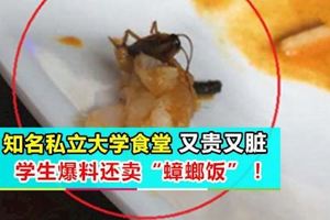著名私立大學食堂又貴又髒學生爆料還賣「蟑螂飯」！