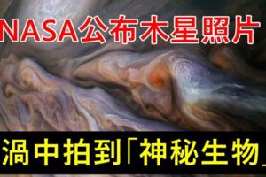NASA公布木星照片漩渦中拍到「神秘生物」